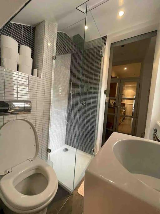 Large Studio Flat In Kensington Londres Extérieur photo